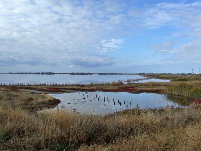 Прикрепленное изображение: DSCF5933.jpg